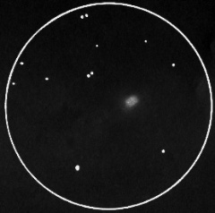 M76