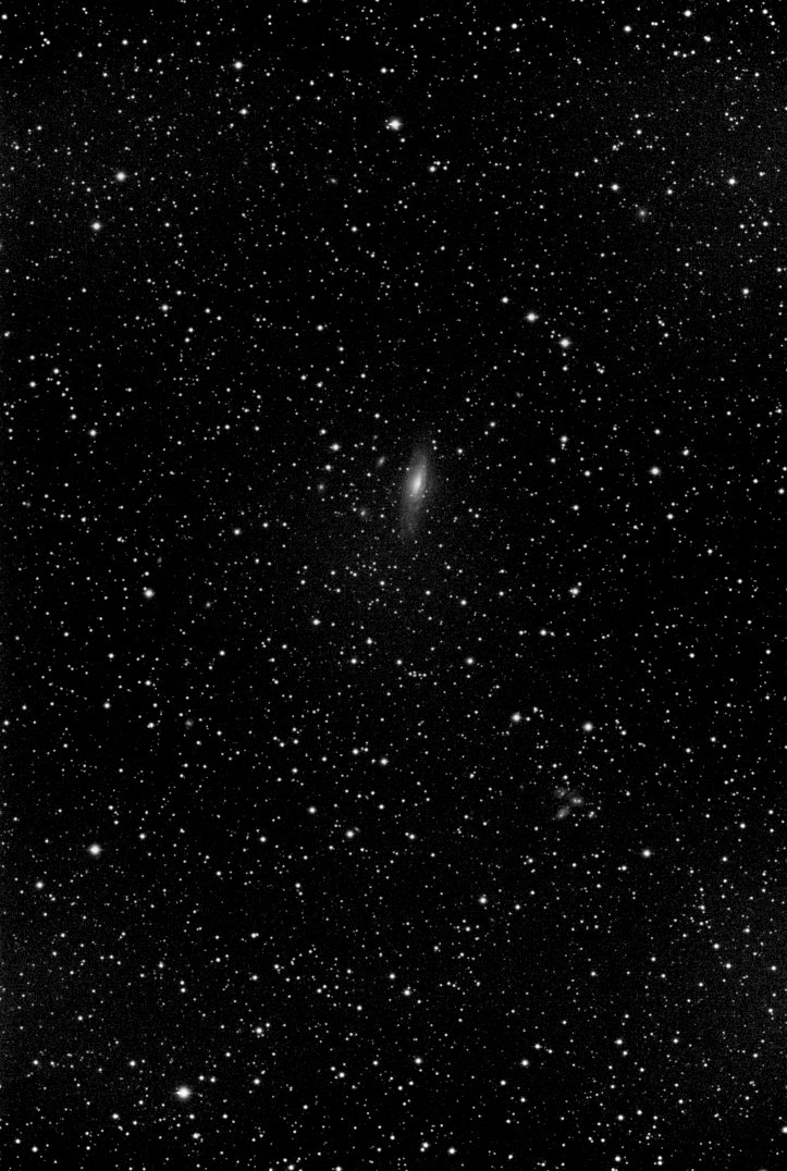 NGC7331