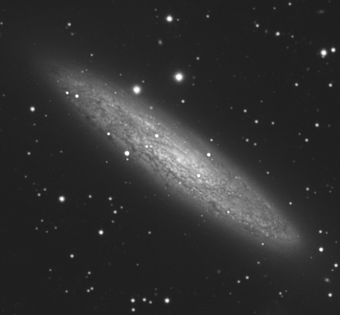 NGC253 Sculptor Galaxy