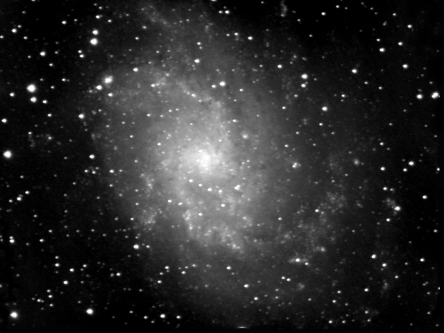 M33