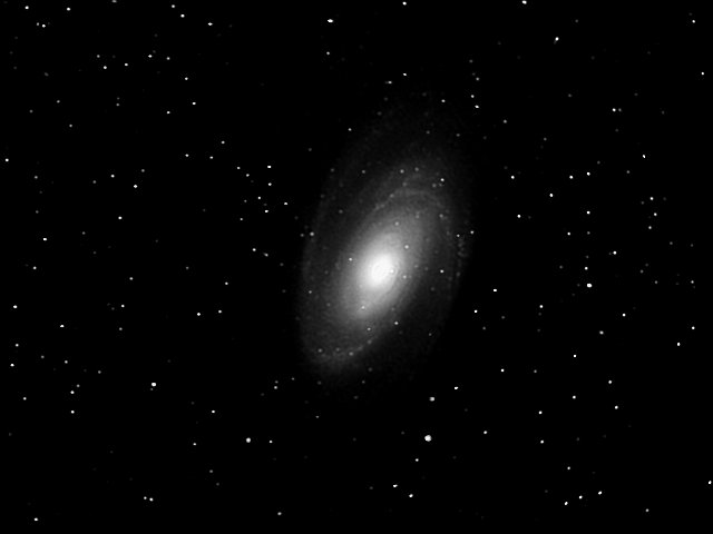 M81