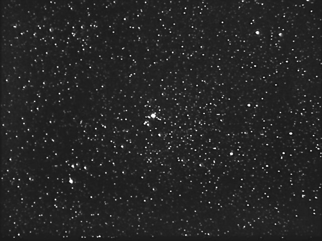NGC7031