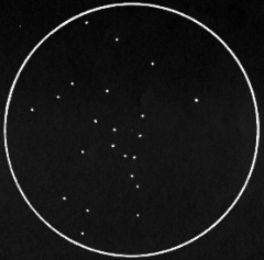 M48