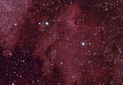 IC5070 Pelican Nebula by David Haworth