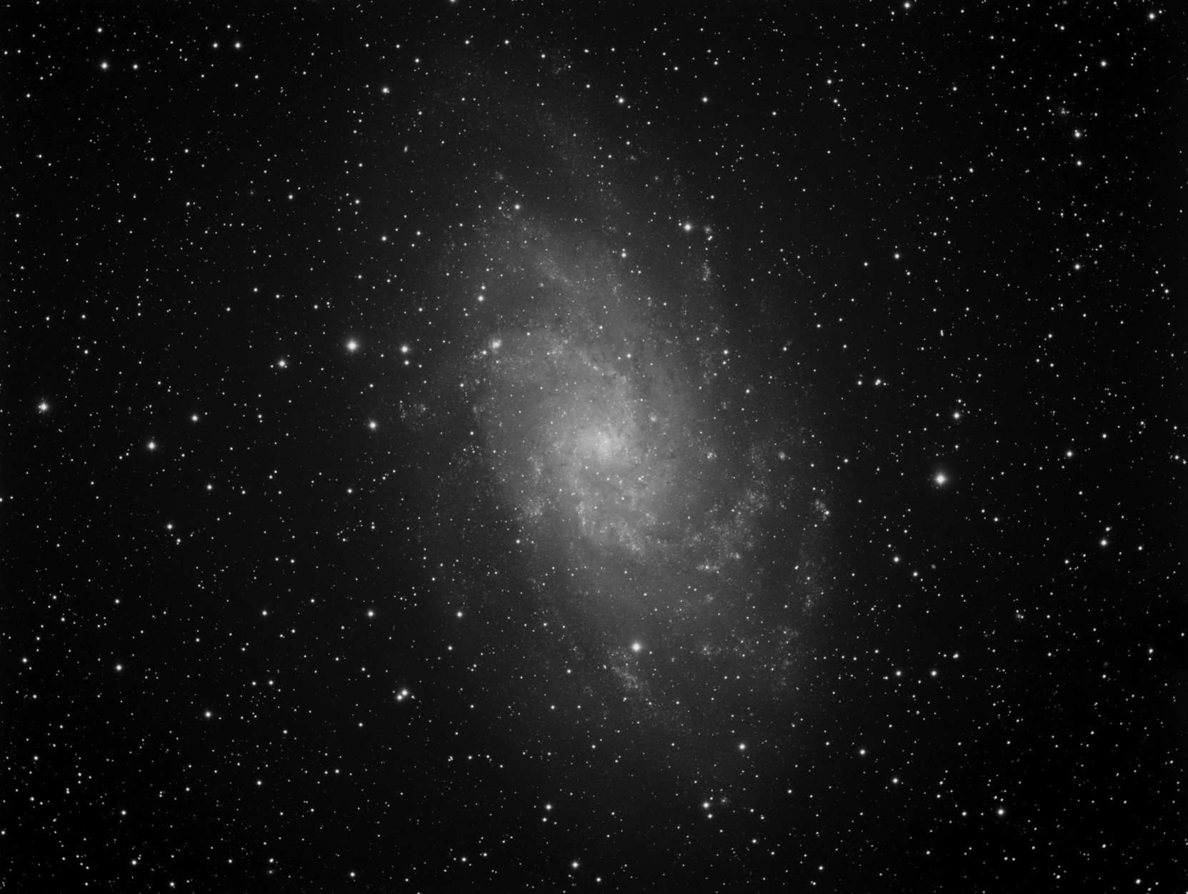 Messier M33