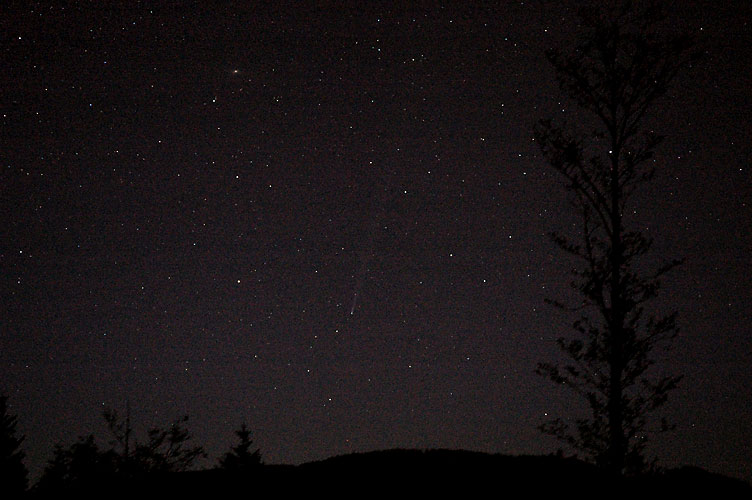 Comet C/2004 F4 (Bradfield)