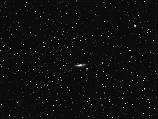 NGC1003