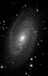 Messier M81