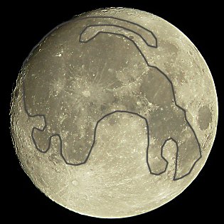 The Rabbit in the Moon