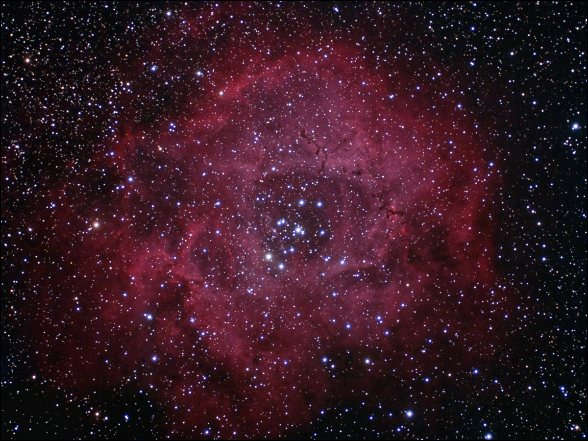 NGC2237 Rosette Nebula