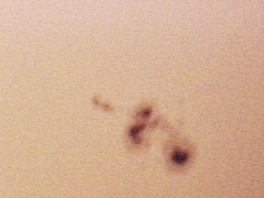 Sunspot 488