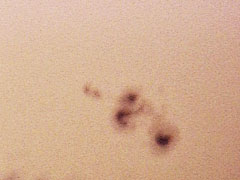 Sunspot 488