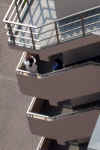 12-05-21-710am-Watching.jpg (76726 bytes)