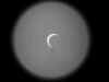 Venus-04-06-04-1154.jpg (18068 bytes)