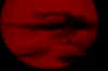IMGP1394s.jpg (789090 bytes)