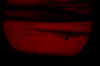 IMGP1396s.jpg (753204 bytes)